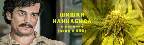 крисы Зеленодольск
