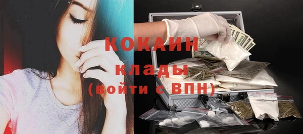 прущие крисы Зеленокумск